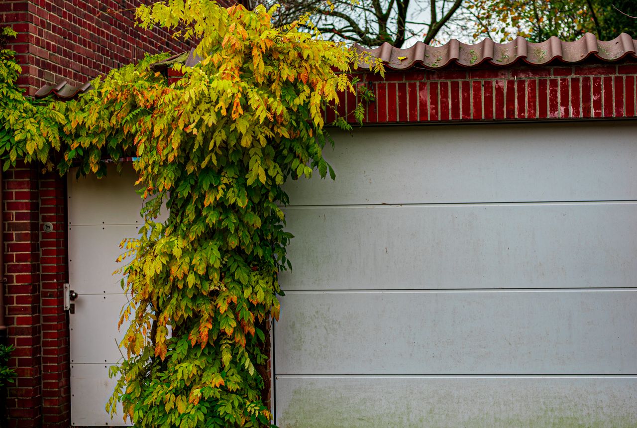 Garage door service in Gaithersburg, MD